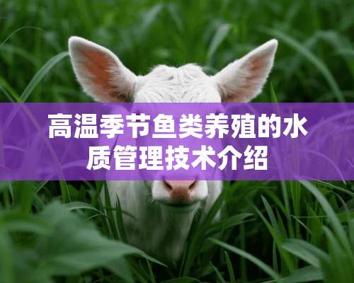 高温季节鱼类养殖的水质管理技术介绍