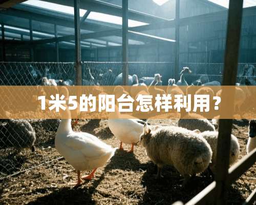 1米5的阳台怎样利用？