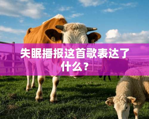 失眠播报这首歌表达了什么？