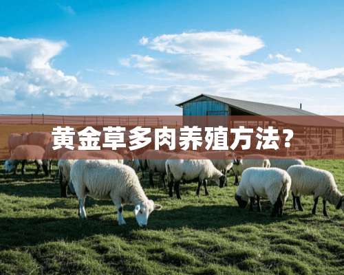 黄金草多肉养殖方法？