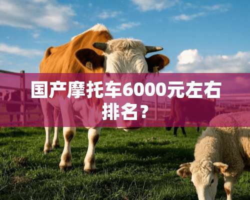 国产摩托车6000元左右排名？