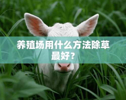 养殖场用什么方法除草最好？