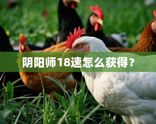 *阳师18速怎么获得？