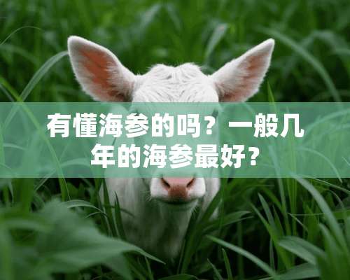 有懂海参的吗？一般几年的海参最好？