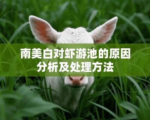 南美白对虾游池的原因分析及处理方法