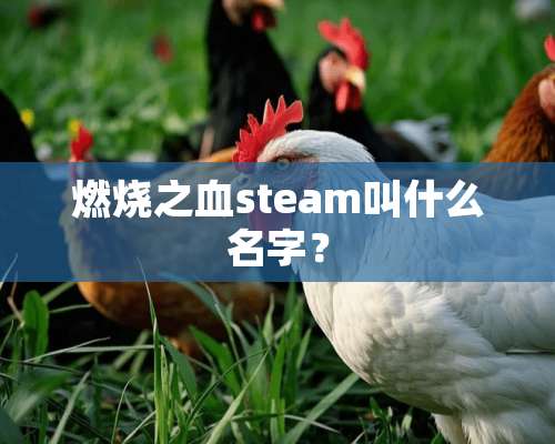 燃烧之血steam叫什么名字？