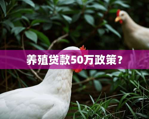 养殖贷款50万政策？