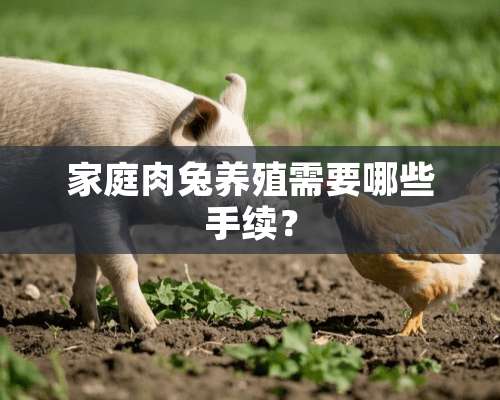 家庭肉兔养殖需要哪些手续？