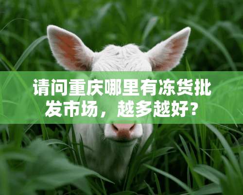 请问重庆哪里有冻货批发市场，越多越好？