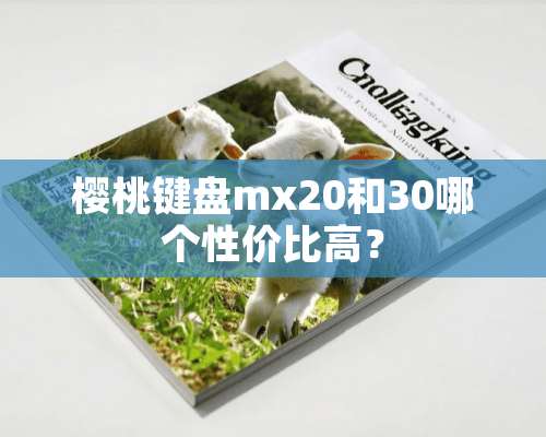 樱桃键盘mx20和30哪个性价比高？