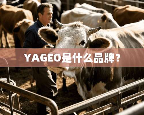 YAGEO是什么品牌？