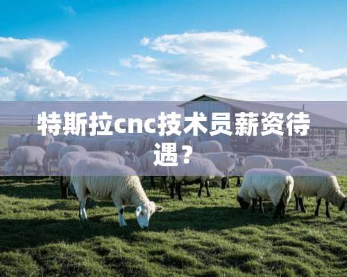 特斯拉cnc技术员薪资待遇？