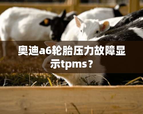 奥迪a6轮胎压力故障显示tpms？