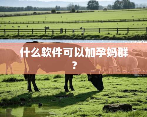 什么软件可以加孕妈群？