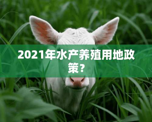 2021年水产养殖用地政策？