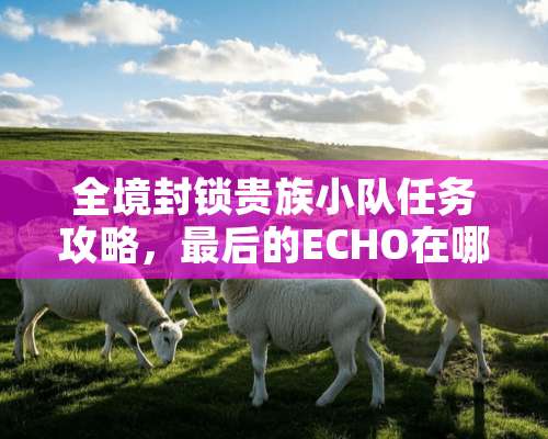 全境**贵族小队任务攻略，最后的ECHO在哪？