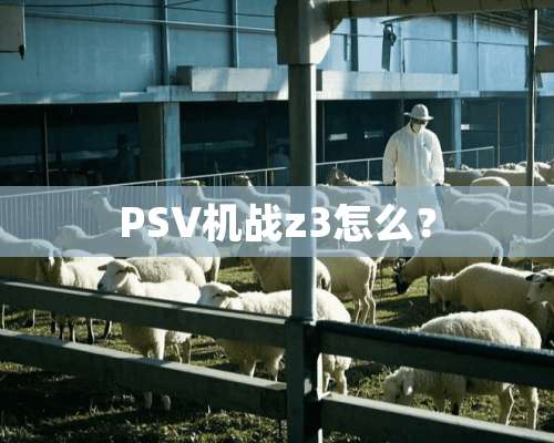 PSV机战z3怎么？