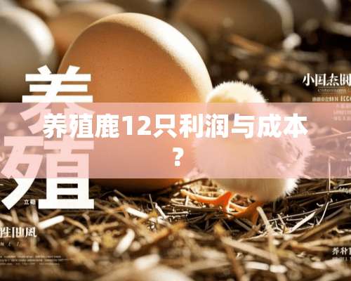 养殖鹿12只利润与成本？