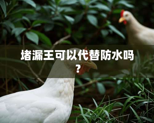 堵漏王可以代替防水吗？