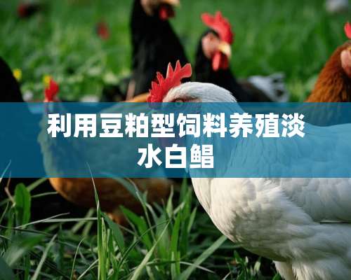 利用豆粕型饲料养殖淡水白鲳