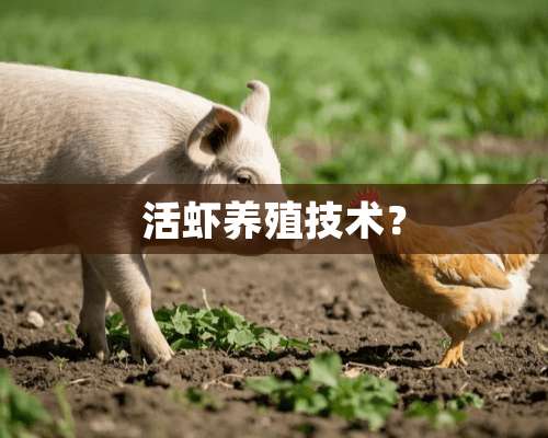 活虾养殖技术？