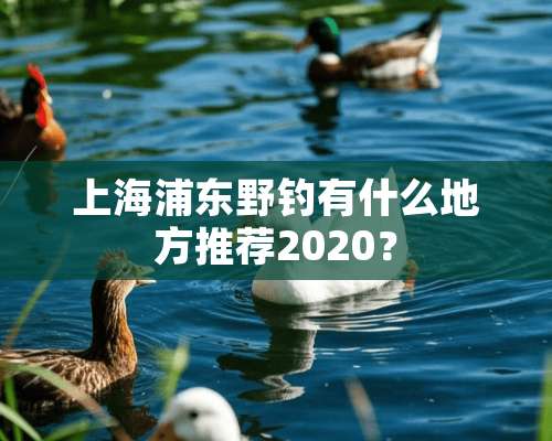 上海浦东野钓有什么地方推荐2020？