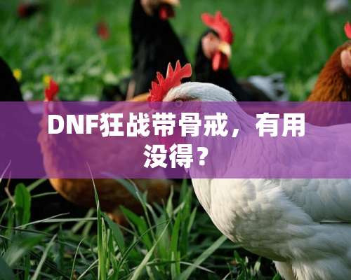 DNF狂战带骨戒，有用没得？