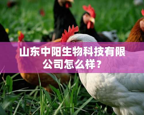 山东中阳生物科技有限公司怎么样？