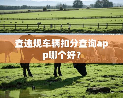 查违规车辆扣分查询app哪个好？