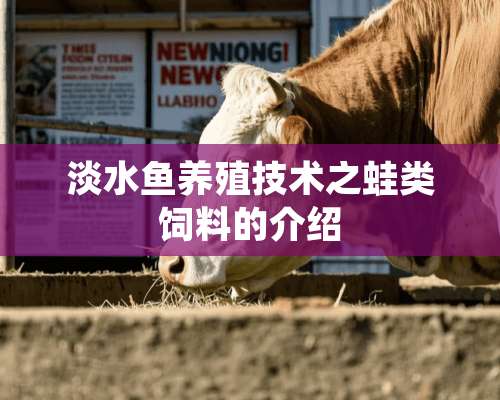 淡水鱼养殖技术之蛙类饲料的介绍