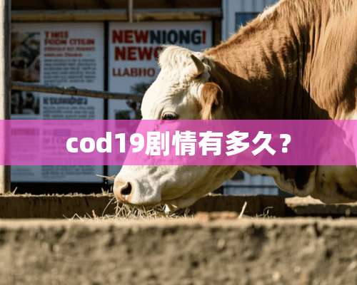 cod19剧情有多久？