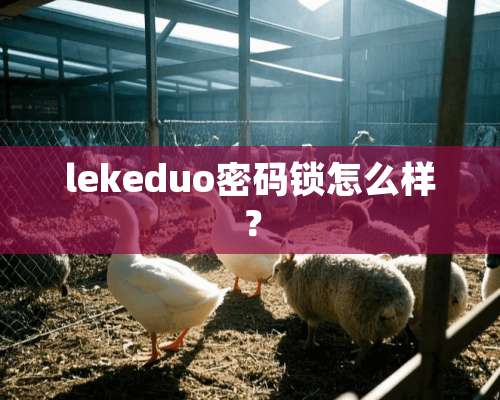 lekeduo密码锁怎么样？