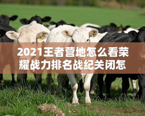 2021王者营地怎么看荣耀战力排名战纪关闭怎么看？