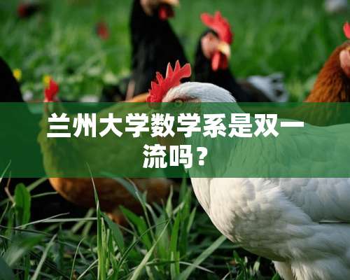 兰州大学数学系是双一流吗？