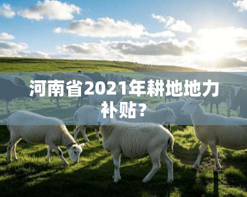 河南省2021年耕地地力补贴？