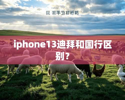 iphone13迪拜和国行区别？