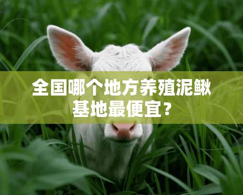 全国哪个地方养殖泥鳅基地最便宜？