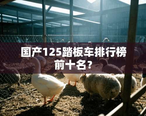 国产125踏板车排行榜前十名？