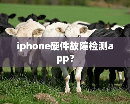 iphone硬件故障检测app？