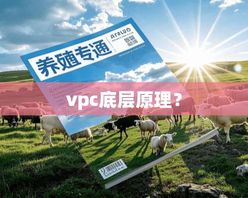 vpc底层原理？