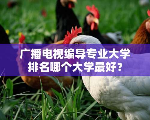 广播电视编导专业大学排名哪个大学最好？