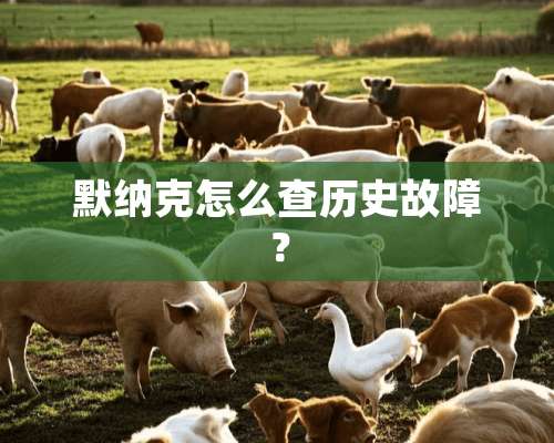 默纳克怎么查历史故障？