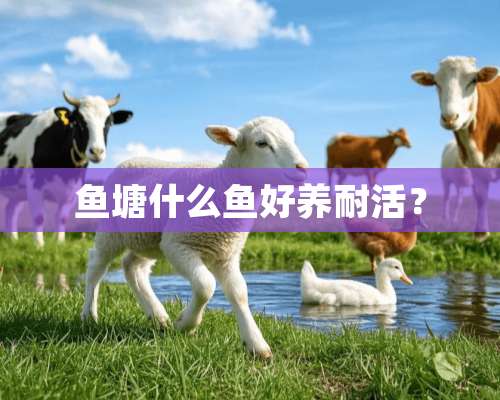 鱼塘什么鱼好养耐活？