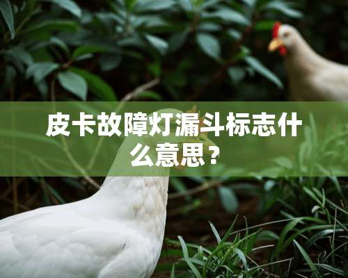 皮卡故障灯漏斗标志什么意思？