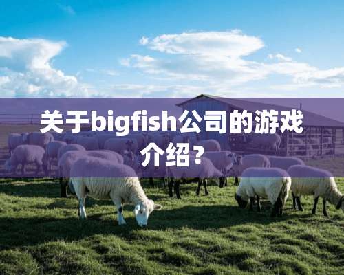 关于bigfish公司的游戏介绍？