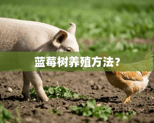 蓝莓树养殖方法？