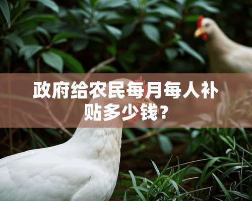 政府给农民每月每人补贴多少钱？