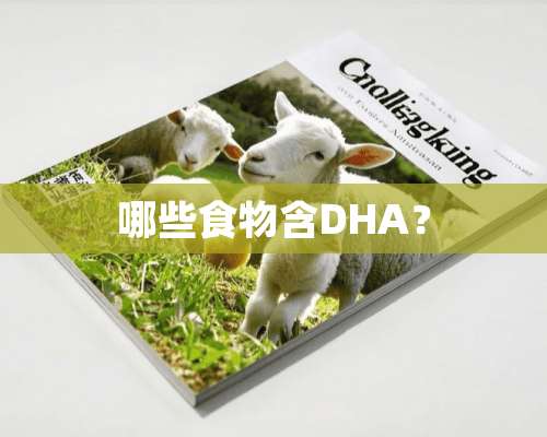 哪些食物含DHA？