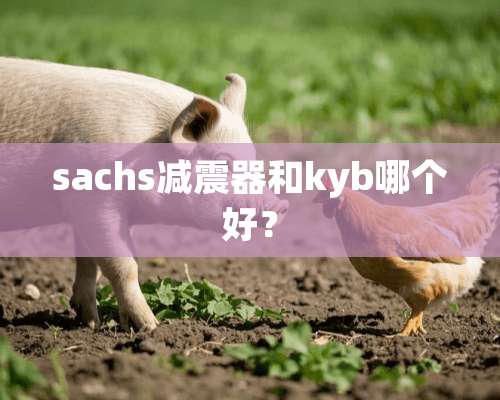 sachs减震器和kyb哪个好？