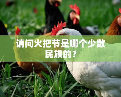 请问火把节是哪个少数民族的？